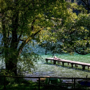 Eine ruhige Szene mit einem Holzsteg am Wasser, umgeben von Bäumen und grünem Wasser, ideal zum Entspannen und Genießen der Natur.