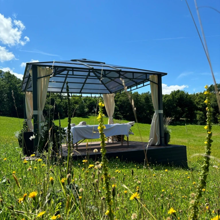 Eine elegante Pergola auf einer Wiese, umgeben von bunten Blumen und klarem blauen Himmel. Perfekt für entspannte Momente im Freien.