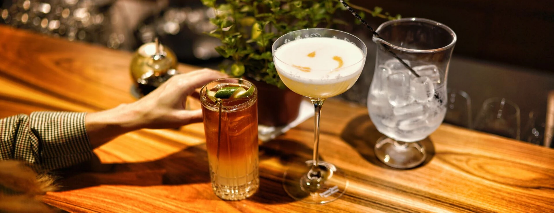 Ein Gast hebt ein Getränk an der Bar des Hotel Klosterhof mit Cocktails und einer Pflanze im Hintergrund.