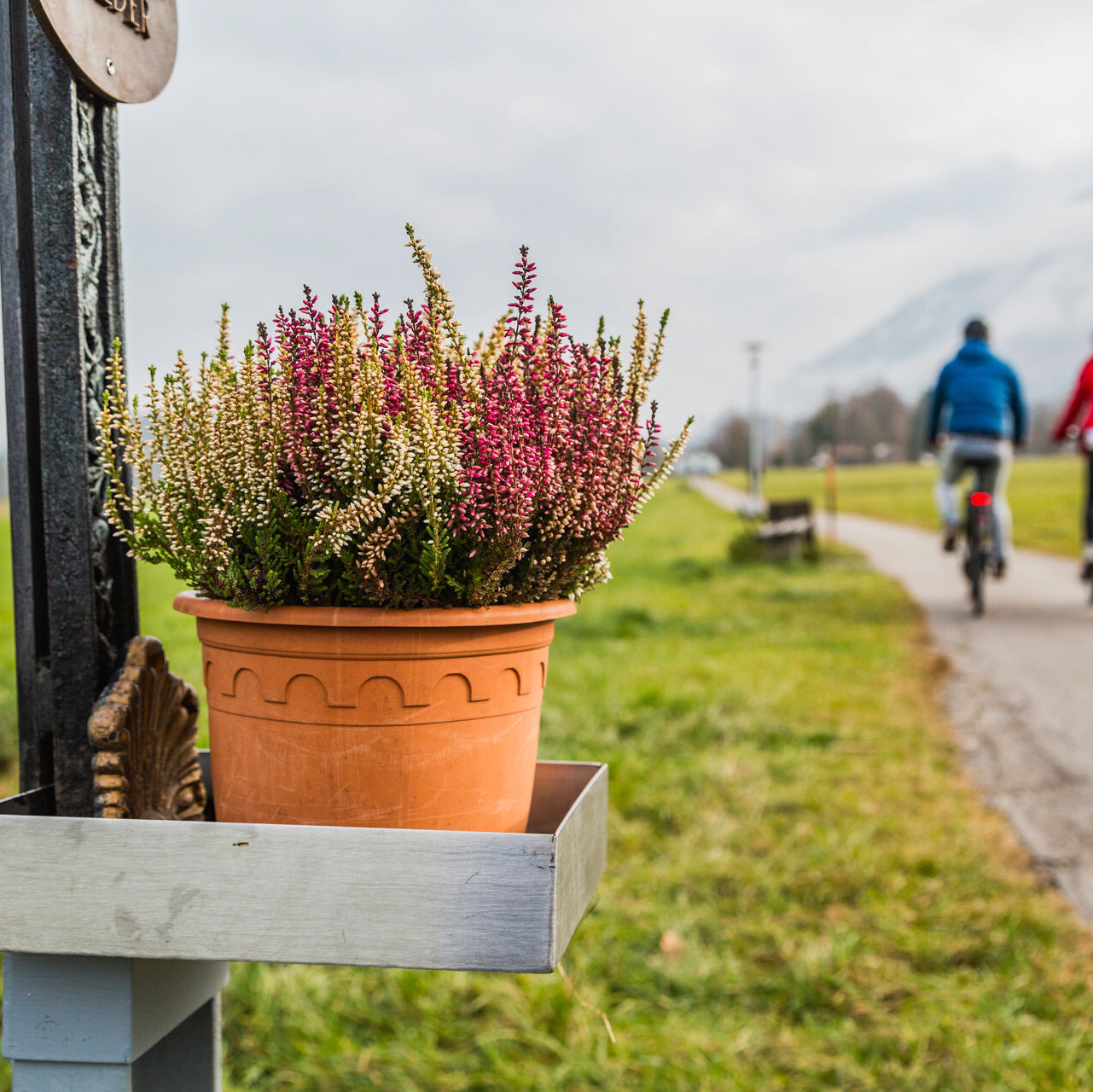 Markiere einen Bike-Buddy, der die härtesten Touren plant