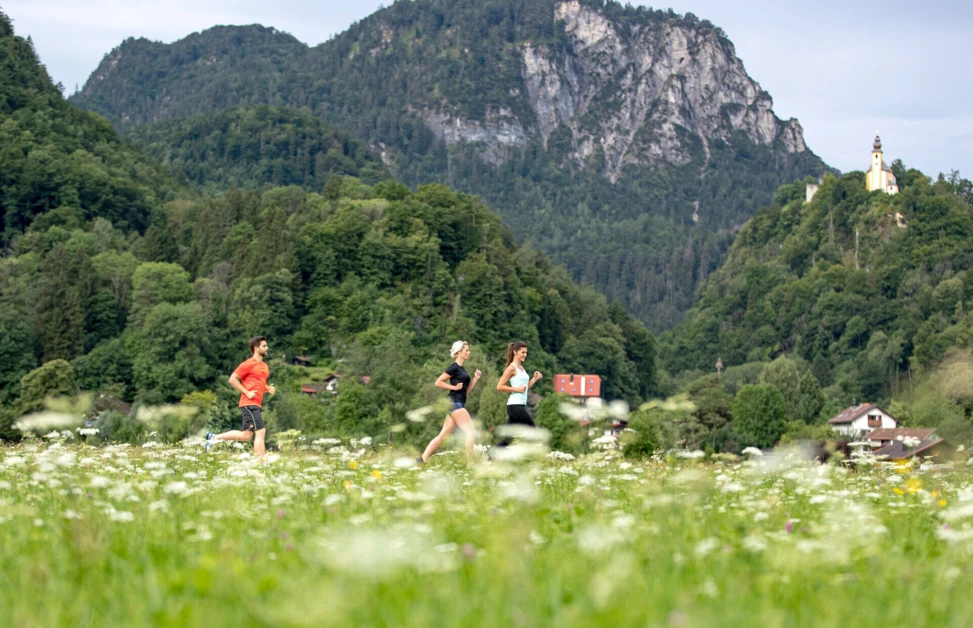 Drei Jogger in einer blühenden Wiese, umgeben von Bergen und einer malerischen Landschaft. ideal für Outdoor-Aktivitäten.