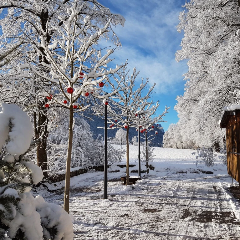 Schneebedeckte Bäume mit roten Kugeln zieren den Weg, umgeben von einer winterlichen Landschaft und klarem blauen Himmel.