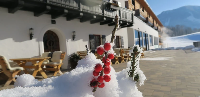 Schneebedeckte Landschaft mit roten Beeren im Vordergrund und dem Hotel Klosterhof im Hintergrund, umgeben von Alpen.