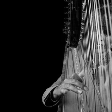Eine Musikerin spielt Harfe vor schwarzem Hintergrund, ihre Hand berührt die Saiten des Instruments.