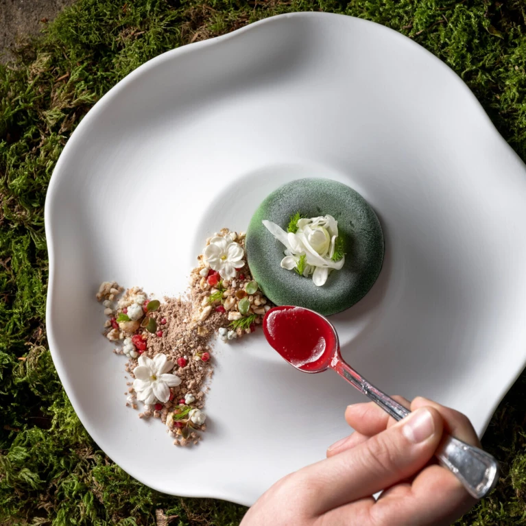 A hand garnishing an artful dessert with red sauce on a white plate, surrounded by moss, showcasing intricate culinary presentation.