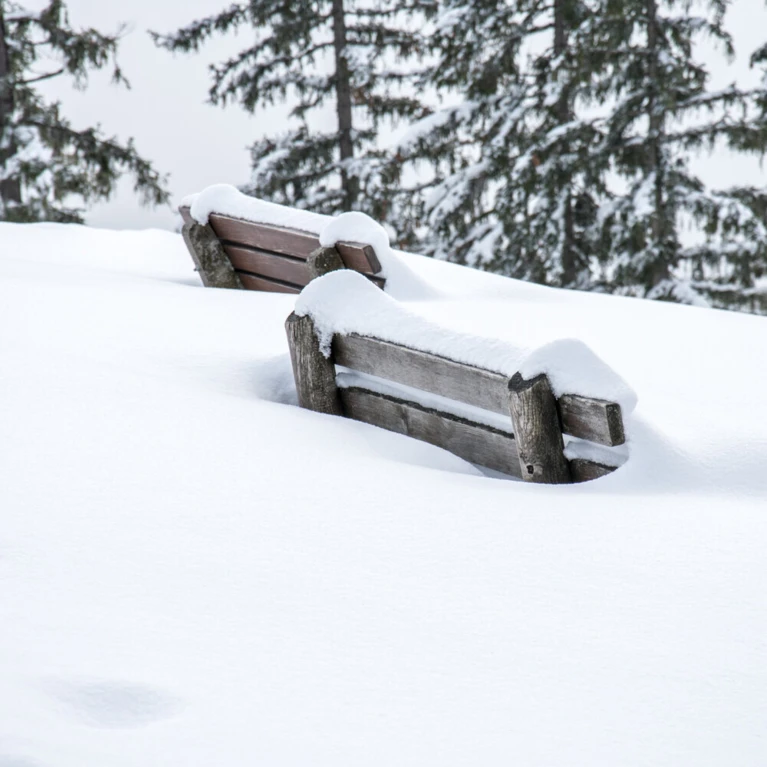 Snow-covered benches in a serene winter landscape at Wellnesshotel Klosterhof in Bayern, surrounded by snow-laden trees.