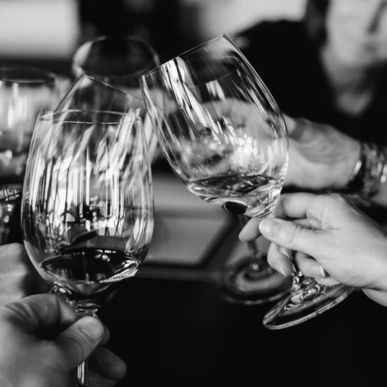 People toasting with wine glasses in a celebratory gathering.