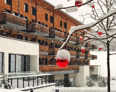 Schneebedeckte Baumkugeln vor einem modernen Gebäude im Winter.