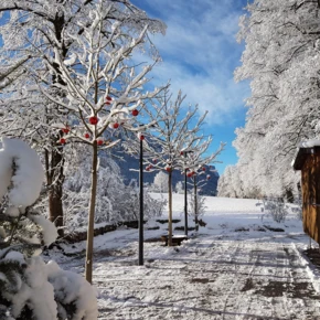 Schneebedeckte Bäume mit roten Kugeln zieren den Weg, umgeben von einer winterlichen Landschaft und klarem blauen Himmel.