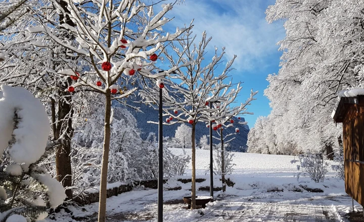 Schneebedeckte Bäume mit roten Kugeln zieren den Weg, umgeben von einer winterlichen Landschaft und klarem blauen Himmel.